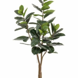 Kumiviikuna 180cm