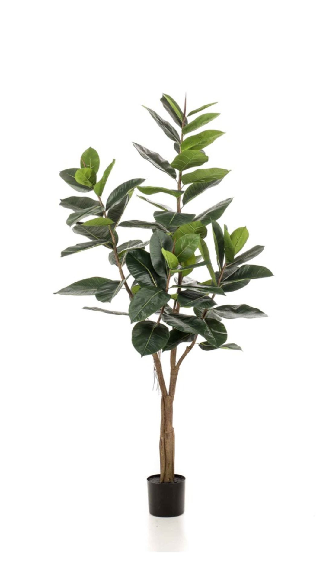 Kumiviikuna 180cm