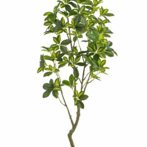 Liuska-aralia 150cm vihreä/keltainen