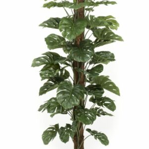Peikonlehti tolpassa 180cm